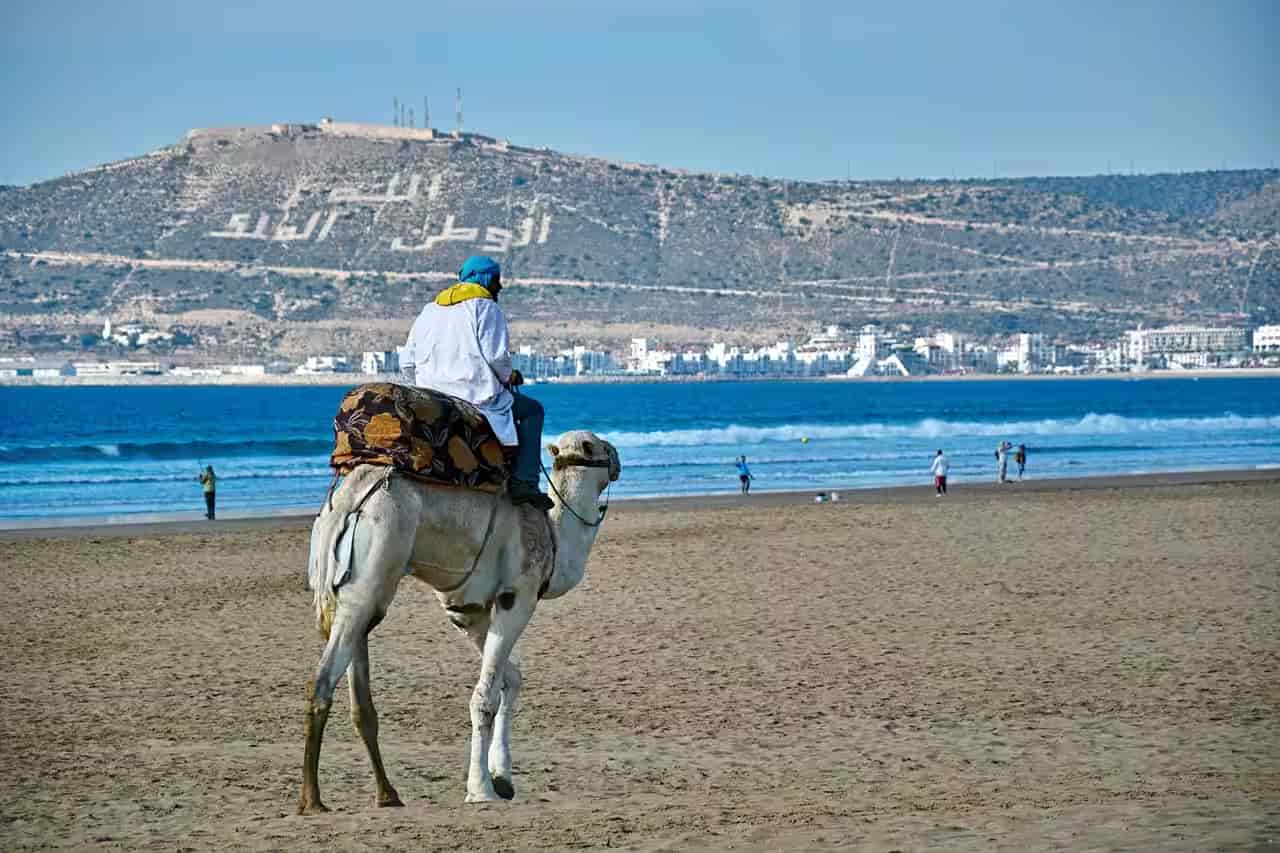 Agadir City Tour – Half Day