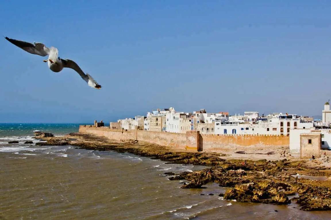 Essaouira (Mogador) – Full Day Trip