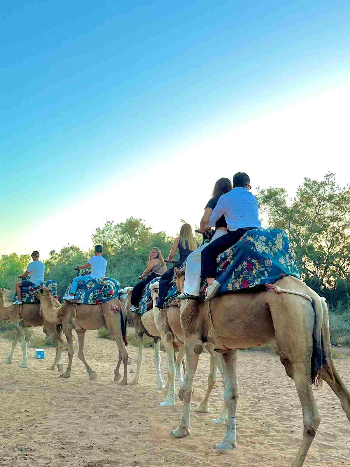Camel Ride – Half Day