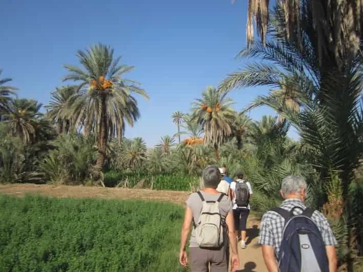 Tiout & Taroudant – Full Day Trip