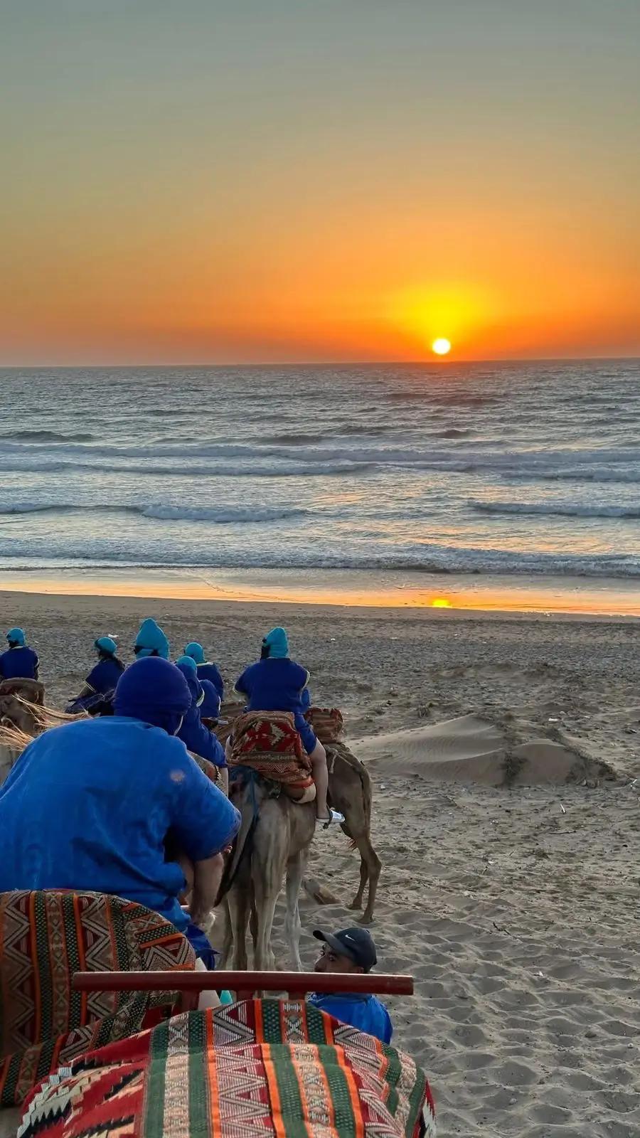 Camel Ride + Barbecue Dinner