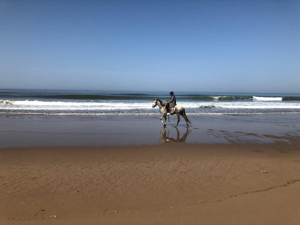 Horse Riding Excursion